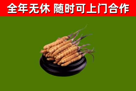 滑县烟酒回收冬虫夏草.jpg